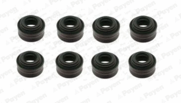Seal Set, valve stem (HR631)