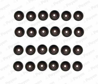 Seal Set, valve stem (HR5107)