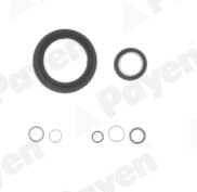 Gasket Kit, crankcase (EG7950)