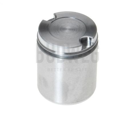 Piston, brake caliper (233849)