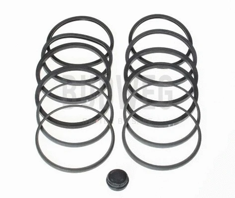 Repair Kit, brake caliper (204602)