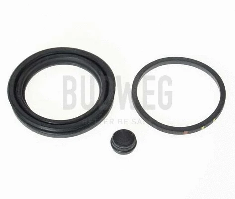 Repair Kit, brake caliper (204851)