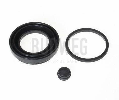 Seal, brake caliper piston (189925)