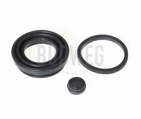 Seal, brake caliper piston (189911)