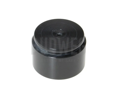 Piston, brake caliper (234613)