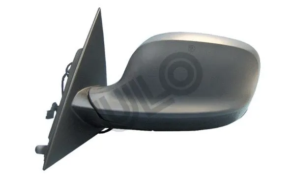 Exterior Mirror (3126301)