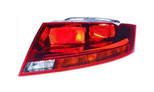 Tail Light Assembly (1029006)