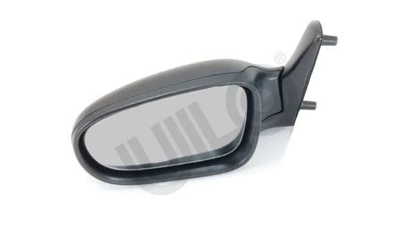 Exterior Mirror (3060029)