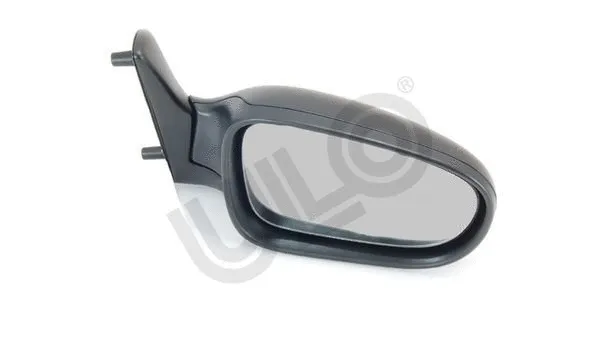 Exterior Mirror (3060036)