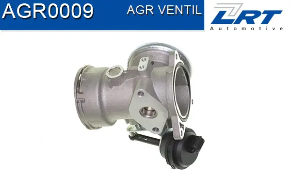 EGR Valve