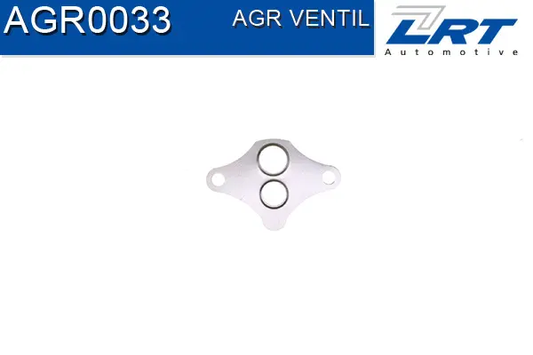 EGR Valve