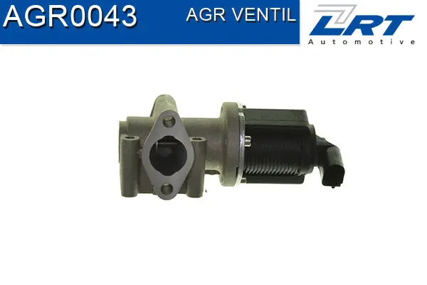 EGR Valve