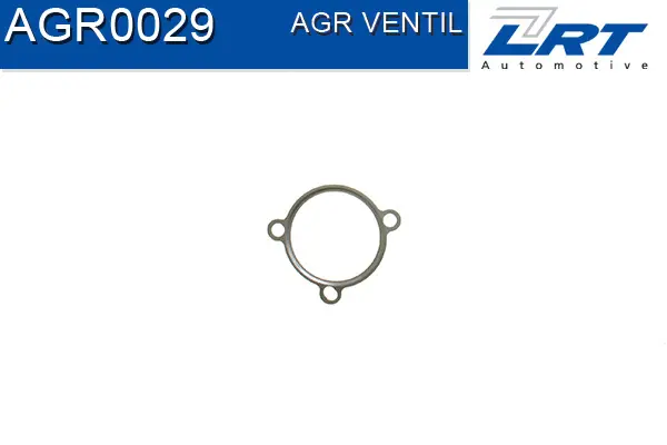 EGR Valve