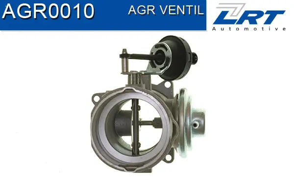 EGR Valve