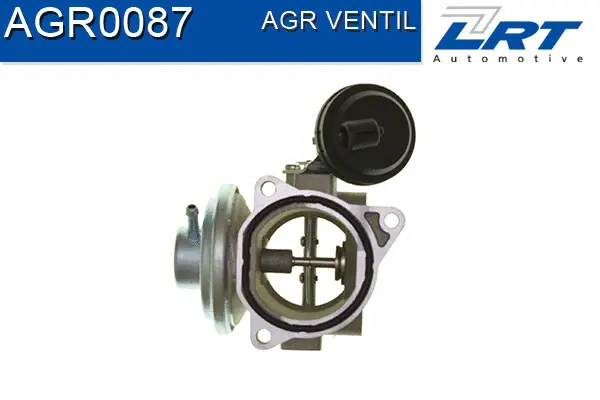 EGR Valve