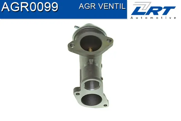 EGR Valve