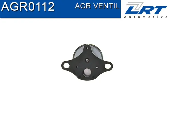 EGR Valve