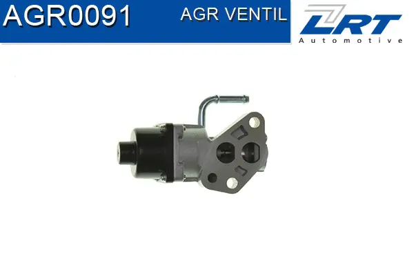EGR Valve