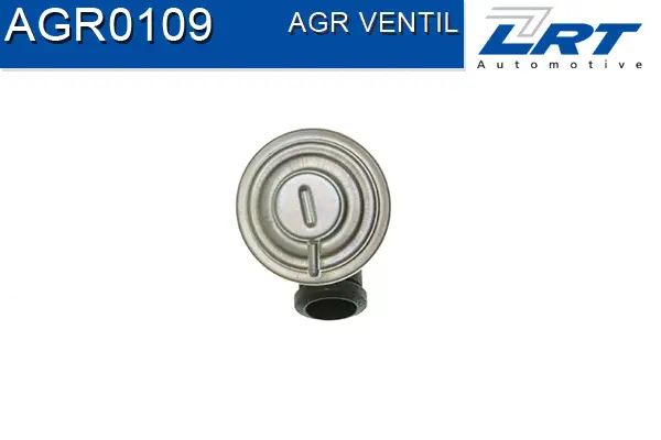 EGR Valve