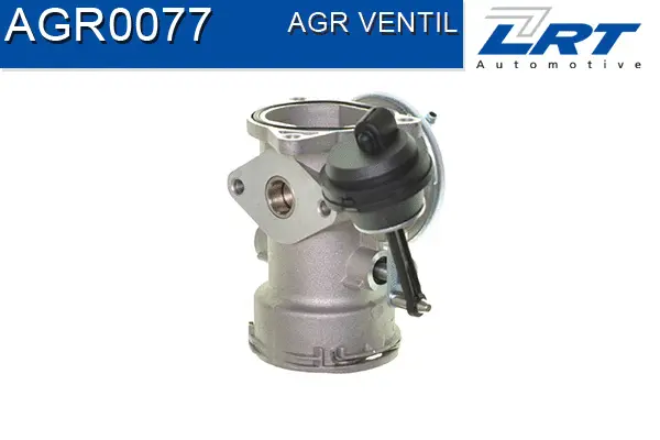 EGR Valve