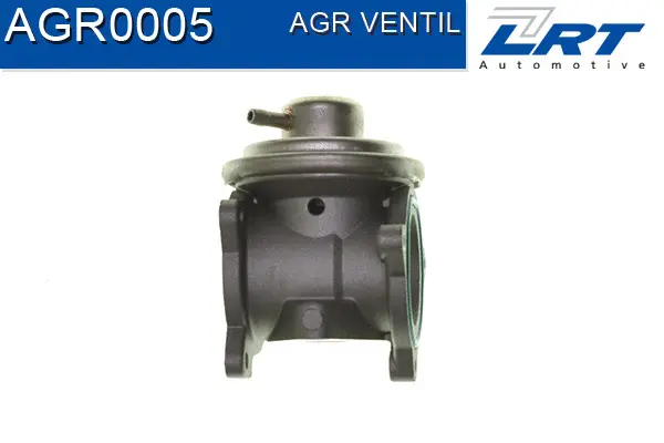 EGR Valve