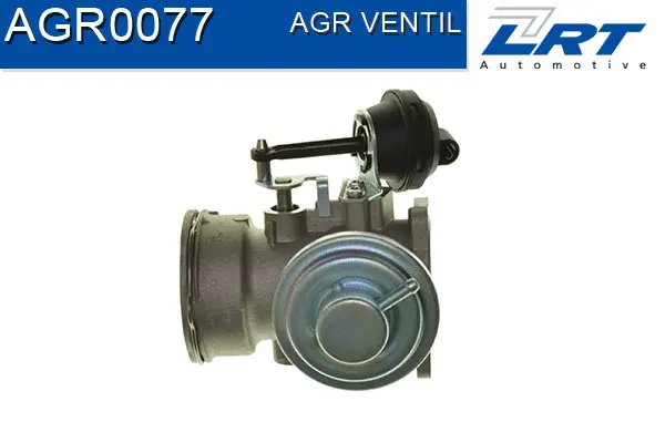 EGR Valve