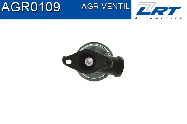 EGR Valve
