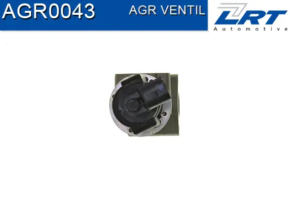EGR Valve