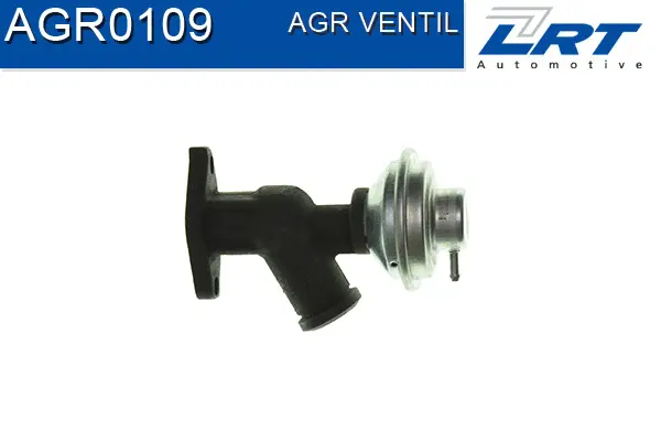 EGR Valve