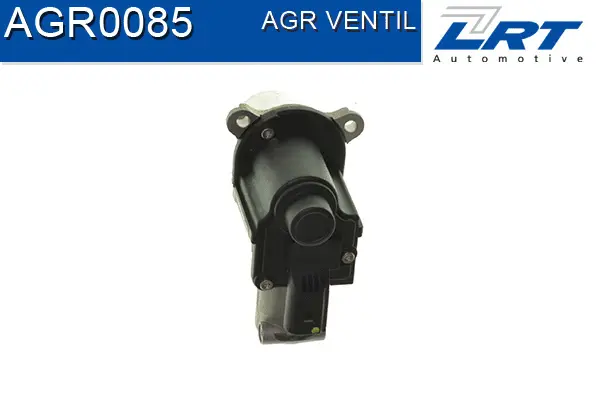 EGR Valve