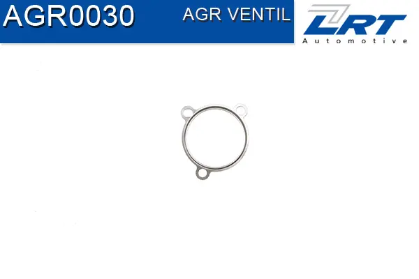 EGR Valve