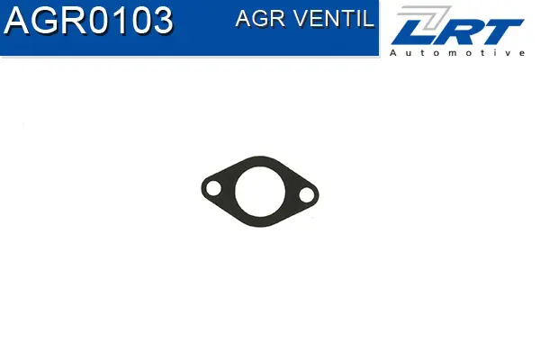 EGR Valve