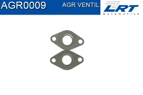 EGR Valve