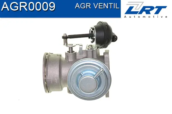 EGR Valve