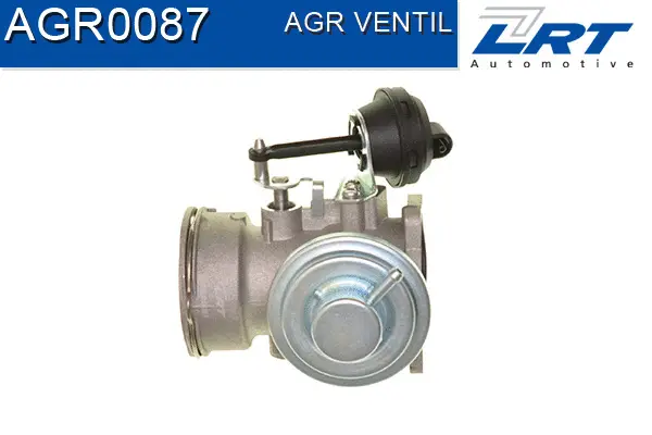 EGR Valve