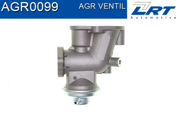 EGR Valve