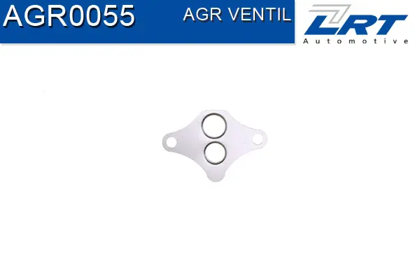EGR Valve