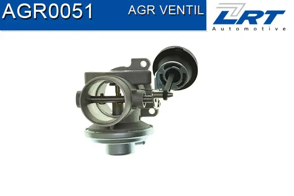 EGR Valve
