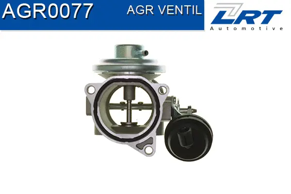 EGR Valve