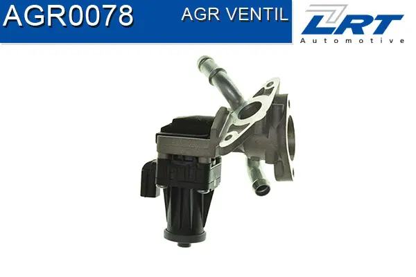 EGR Valve