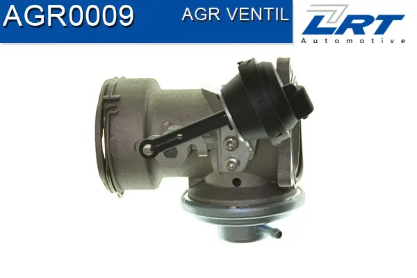 EGR Valve