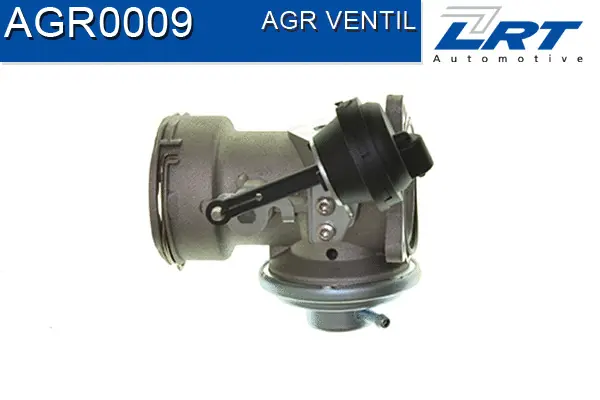 EGR Valve