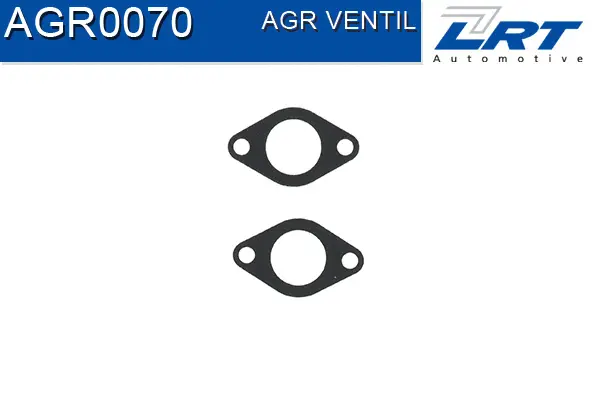 EGR Valve