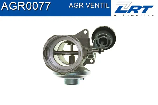 EGR Valve