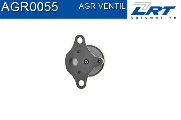 EGR Valve