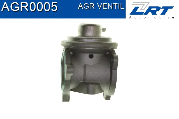 EGR Valve