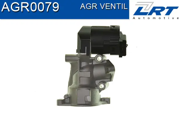 EGR Valve