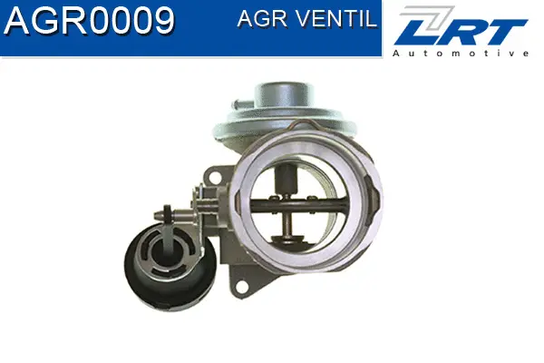 EGR Valve