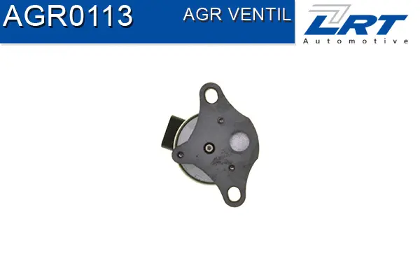 EGR Valve