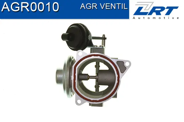 EGR Valve